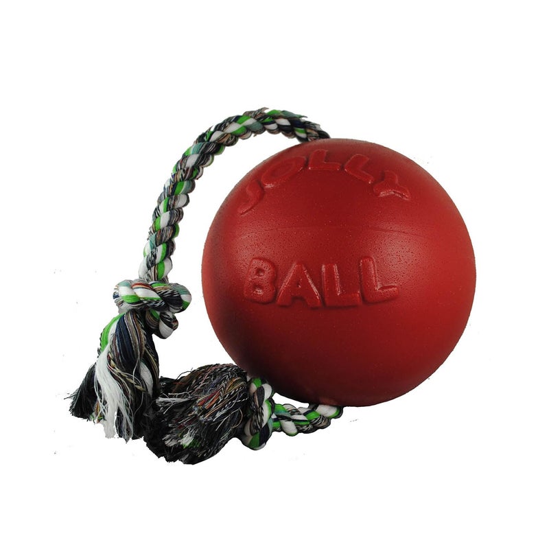 Jolly Pets Romp-n-Roll Rope and Ball Dog Toy, 4.5 Inches/Small, Blueberry for All Breed Sizes - Image 3